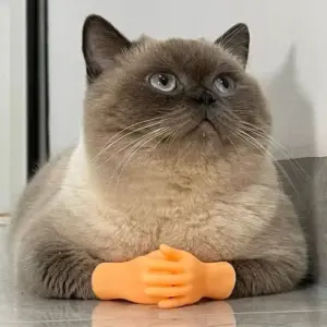 1/2PCS Fun & Quirky Soft Silicone Finger Gloves - Mini Novelty Cat Teasing Toys Simulated Prosthetic Finger Interactive Cat Toys