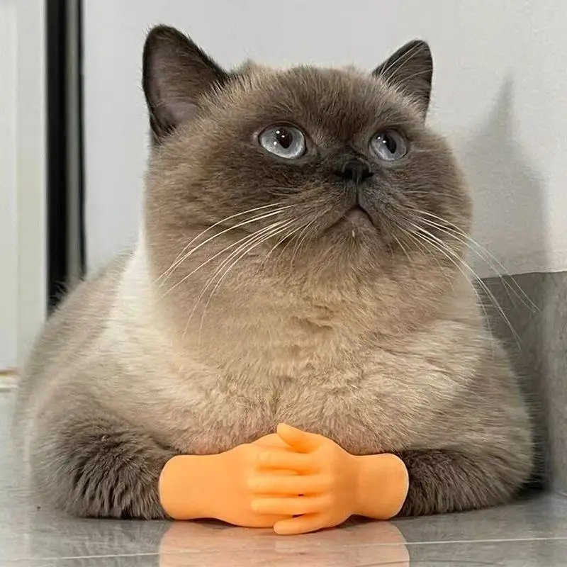 1/2PCS Fun & Quirky Soft Silicone Finger Gloves - Mini Novelty Cat Teasing Toys Simulated Prosthetic Finger Interactive Cat Toys